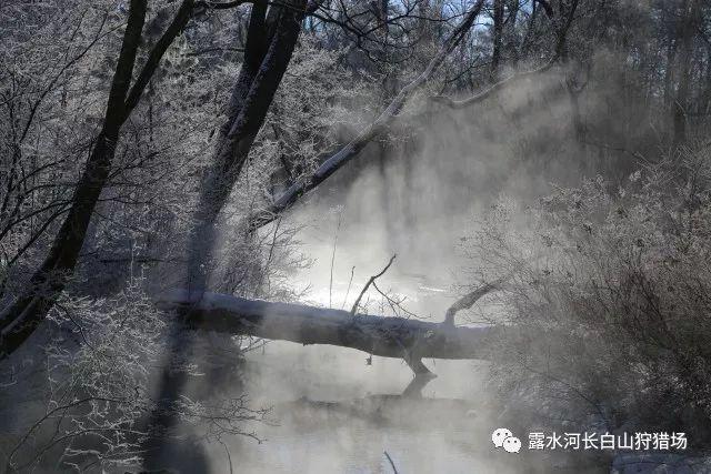 厨房橱柜用什么材质好-值得信赖的问答平台